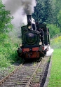 08.06.2010 Eisenbahn-Pfalz-2-2010-D34_0402